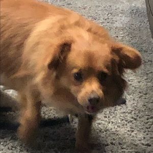 Meet your Posher, Jenna